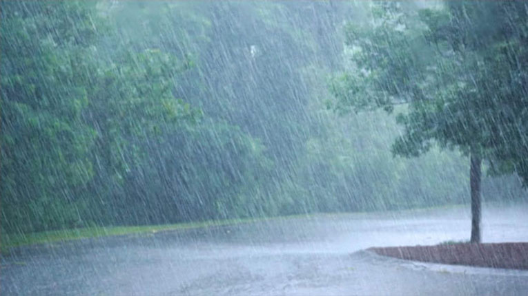 আবহাওয়ার বার্তা: বৃষ্টি আসছে কবে?