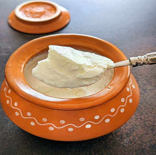 বাজার নয়, এবার দই হবে বাড়িতেই