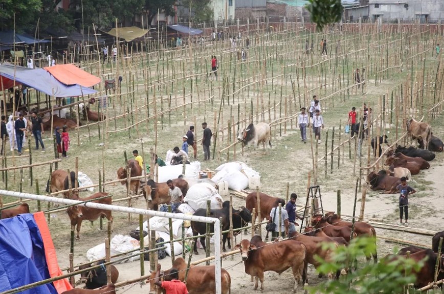 রেললাইনের পাশে পশু হাট বসানো নিয়ে কঠোর বার্তা রেল মন্ত্রণালয়ের
