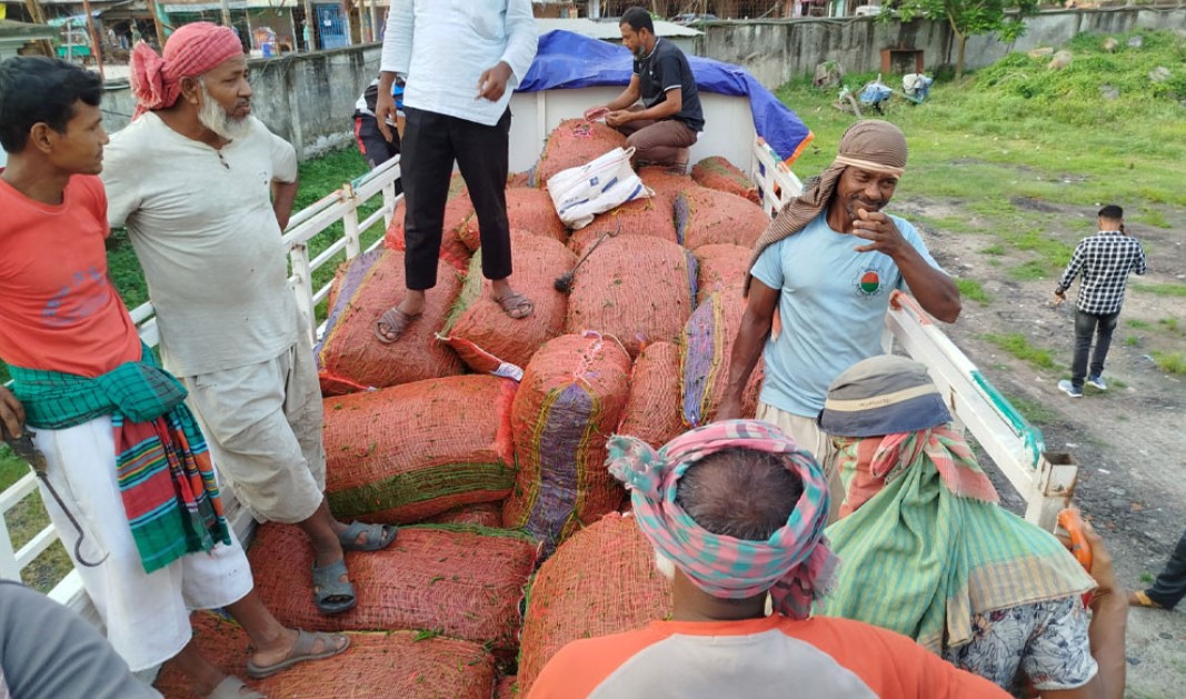 সাত মাস পর ভারত দিয়ে কাঁচা মরিচ আমদানি শুরু, বাজারে কমেছে দাম