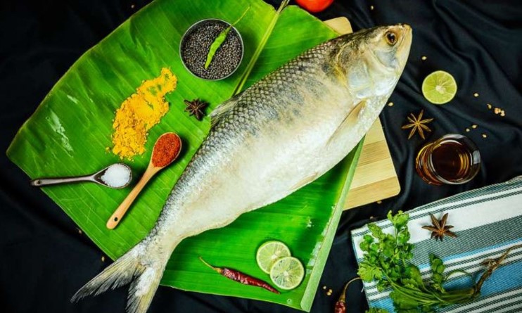 সারা বছর ইলিশের স্বাদ পেতে জানুন সঠিক সংরক্ষণ পদ্ধতি