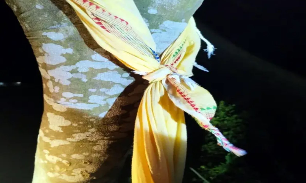 ধর্ষণ ও হত্যা করে গাছে ঝোলানো হলো ১৩ বছরের কিশোরীর লাশ