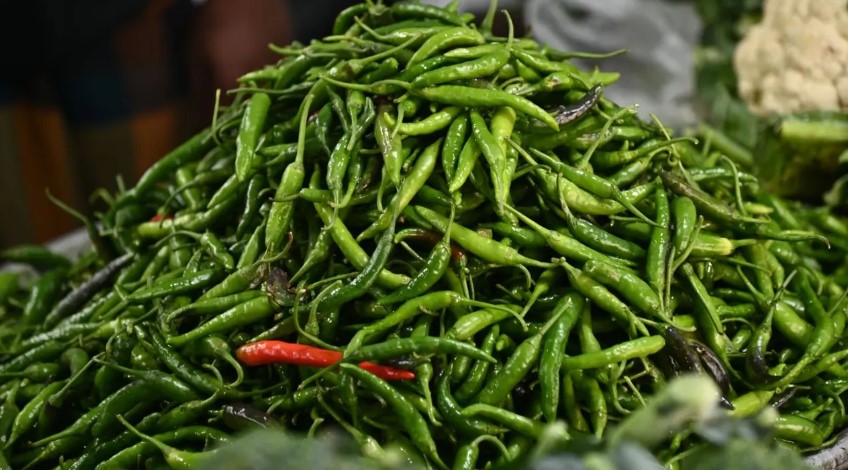 কাঁচাবাজারে আগুন: কাঁচামরিচের দাম ৩০০ টাকা ছাড়িয়েছে
