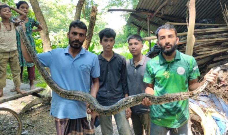 ট্টগ্রামের বোয়ালখালীতে ১০ ফুট লম্বা অজগর উদ্ধার