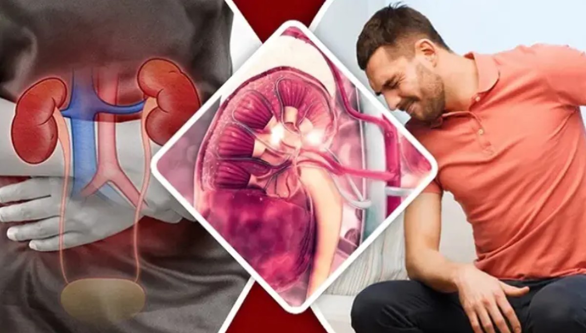 নীরব ঘাতক: যে ৫টি খাবার কিডনির ক্ষতি করছে