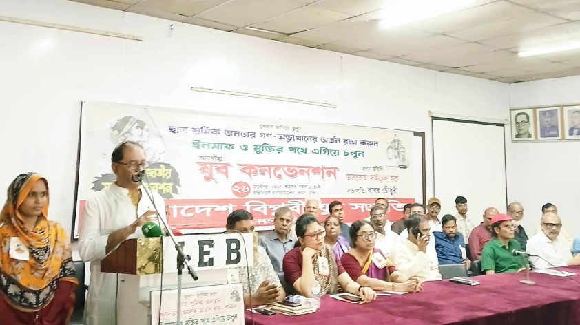 অন্তর্বর্তী সরকার ‘ছেঁড়া জুতো পায়ে হাঁটছে’: সাইফুল হক
