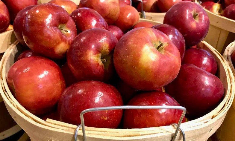 আপেল চকচকে রঙ মানেই বিপদ, রাসায়নিক ফাঁদ এড়াতে এই উপায়গুলি জানুন