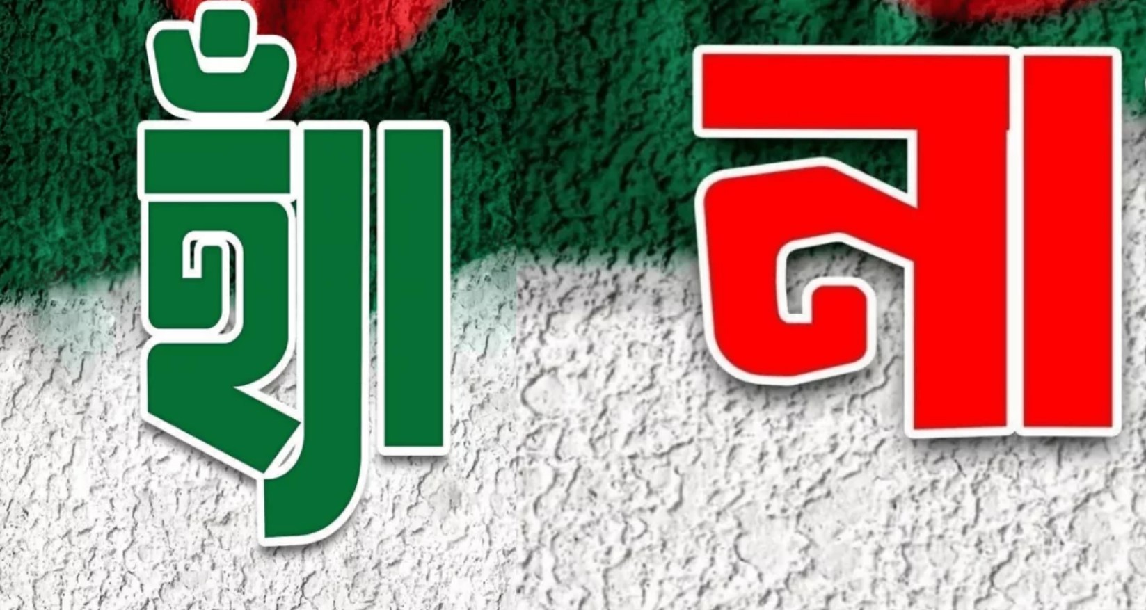 নির্বাচনের আগে গণভোটের প্রস্তাব নিয়ে সামাজিক মাধ্যমে বিতর্ক, মুখোমুখি ‘হ্যাঁ’ ও ‘না’ পক্ষ