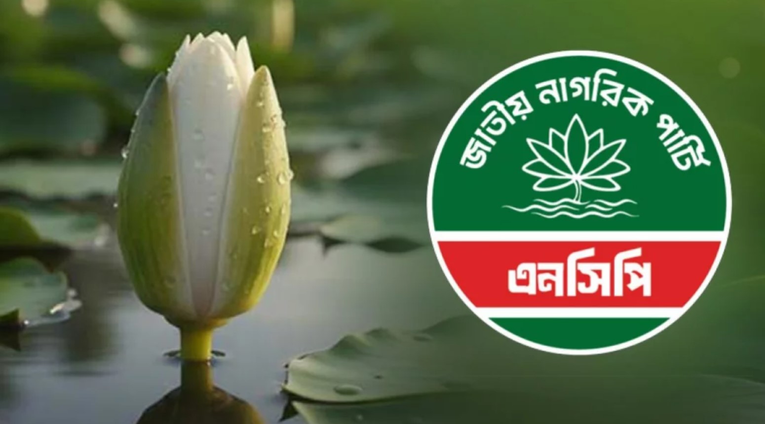 প্রতীকের বিতর্ক শেষ ইসির শাপলা কলি নিতে সম্মত হলো এনসিপি