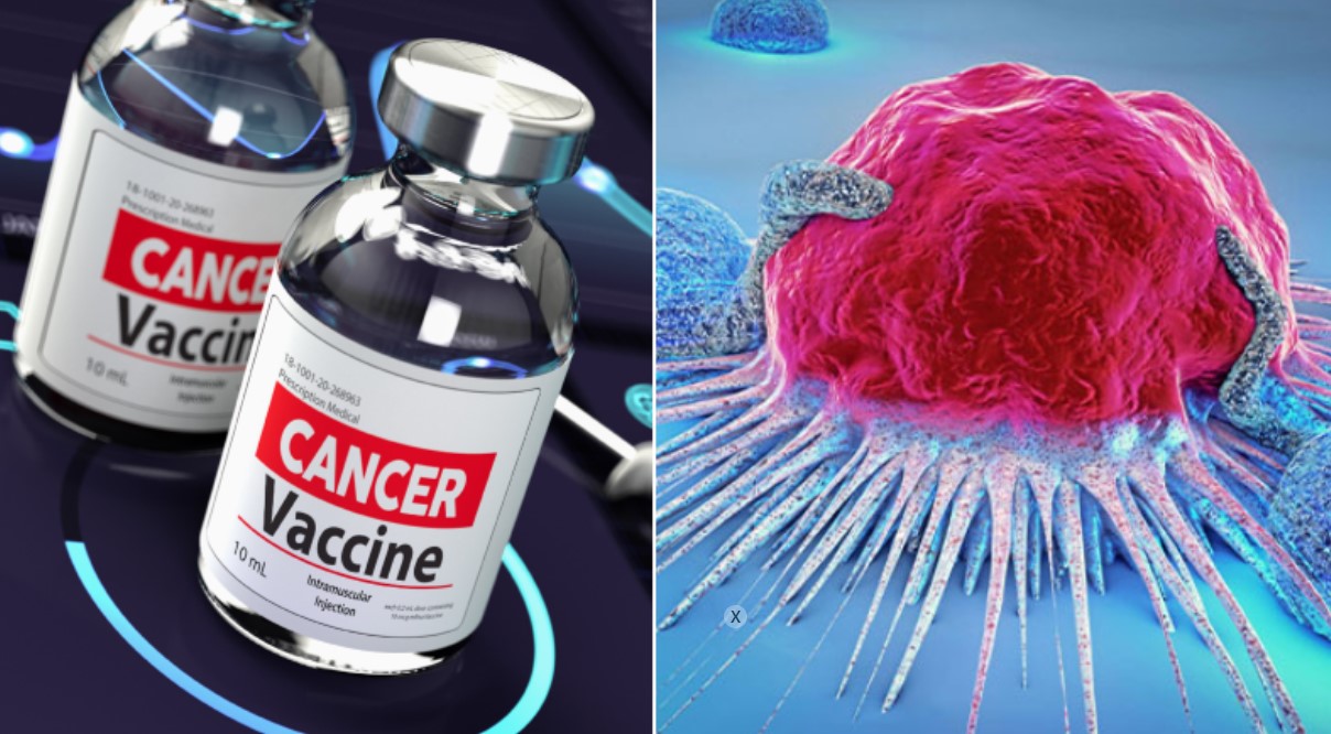ক্যানসার চিকিৎসায় মহা সাফল্য: নতুন ভ্যাকসিনের প্রাথমিক পরীক্ষায় শতভাগ কার্যকারিতা