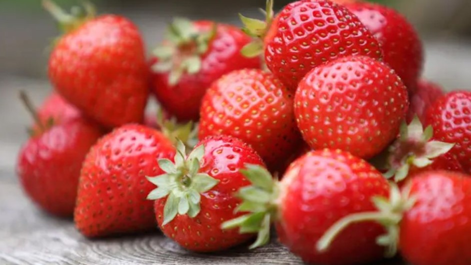 শীতকালে কেন স্ট্রবেরি খাবেন জানেন কি ত্বকের উজ্জ্বলতা বাড়াতে এটি জরুরি