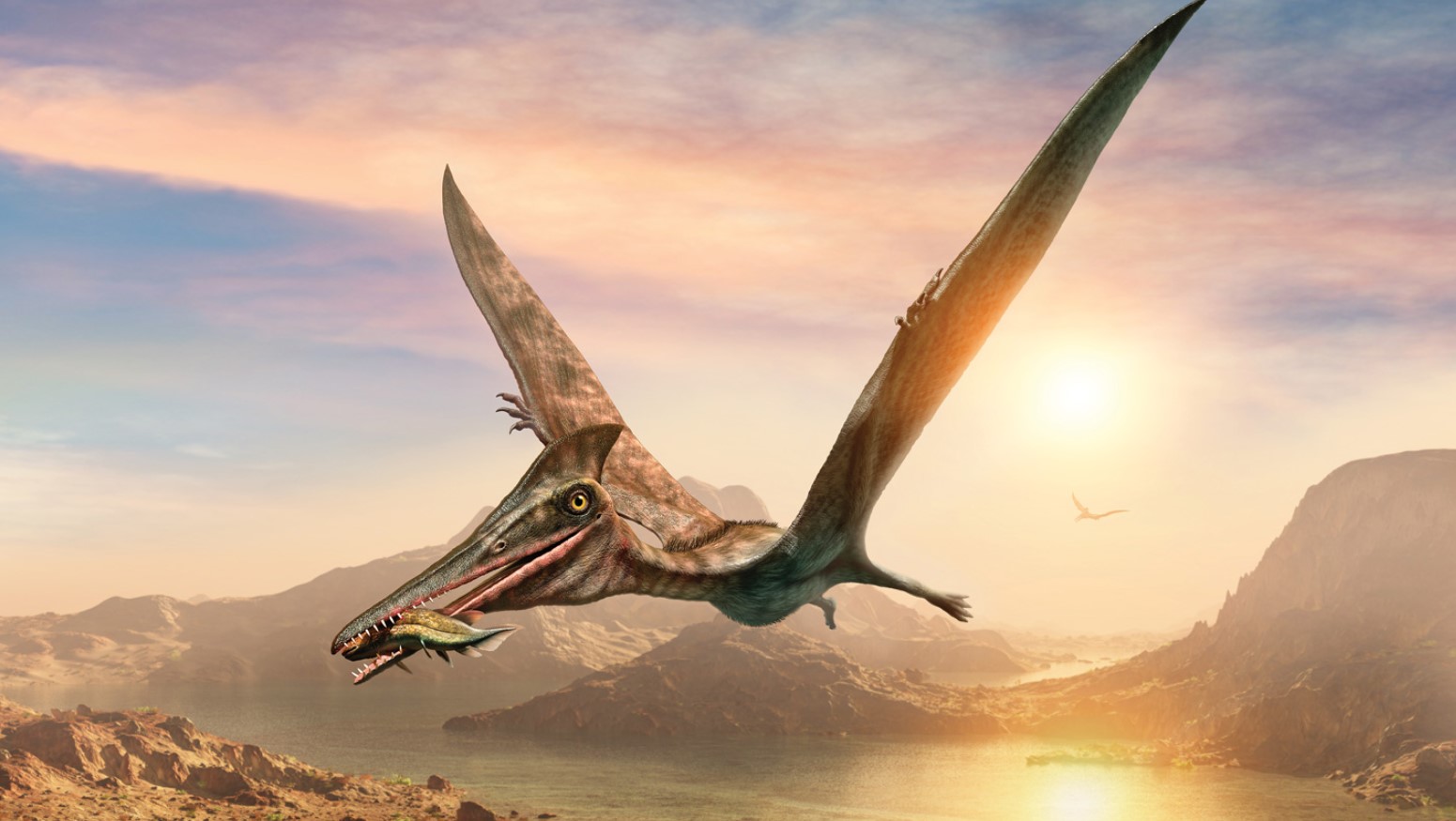 উড়ন্ত সরীসৃপের খাদ্যাভ্যাস নিয়ে ধারণা বদল ৩২০টি ফাইটোলিথ পেলেন গবেষকরা