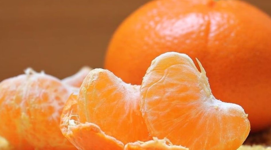 শীতকালে কমলা খাওয়ার ৫ উপকারিতা যা আপনার জানা নেই