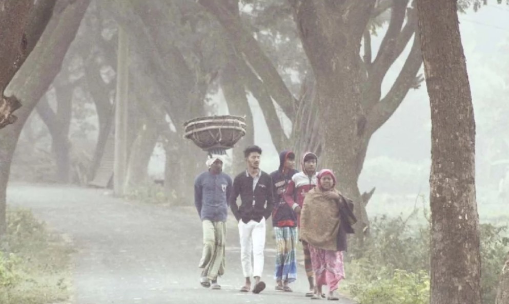 শীতের তীব্রতা বাড়লেও উষ্ণ হলো মন পর্যটন আর অতিথি পাখির ভিড়ে মুখর এখন বাংলাদেশ