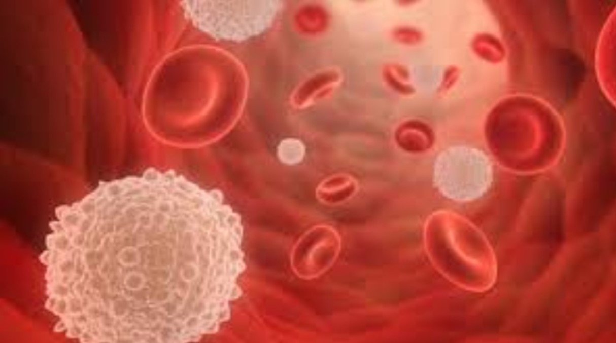 ডেঙ্গু বা ভাইরাসের পর দুর্বলতা? প্লেটলেট বাড়বে যা খেলে