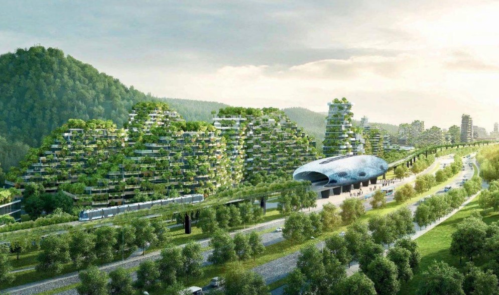 দিনে ঘুটঘুটে আঁধার, রাতে কুমির আতঙ্ক! ১০ হাজার কোটি ডলারের শহর এখন ভুতুড়ে নগরী