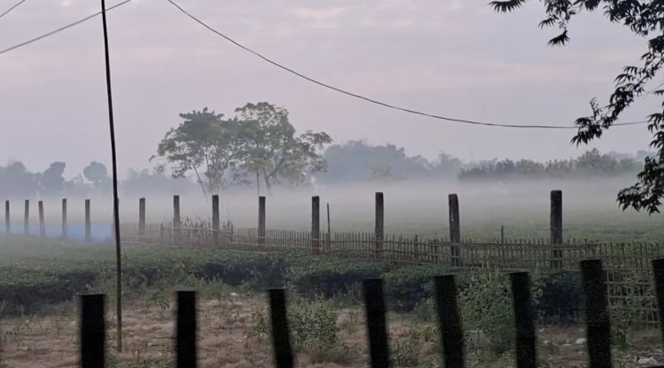 পিঠাপুলির ধুম আর লেপ তোশকের ব্যস্ততায় জমে উঠেছে উত্তরের শীত