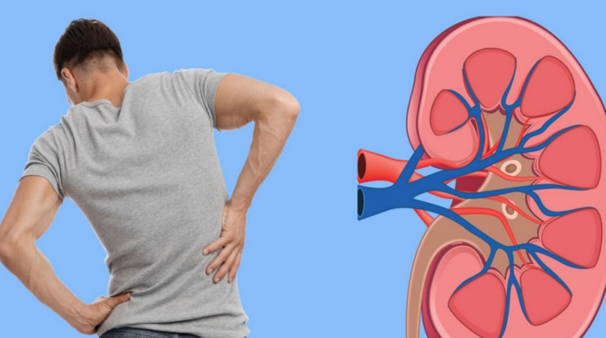 রক্ত পরীক্ষা ছাড়াই ঘরে বসে কিডনির সুস্থতা যাচাইয়ের সহজ উপায়