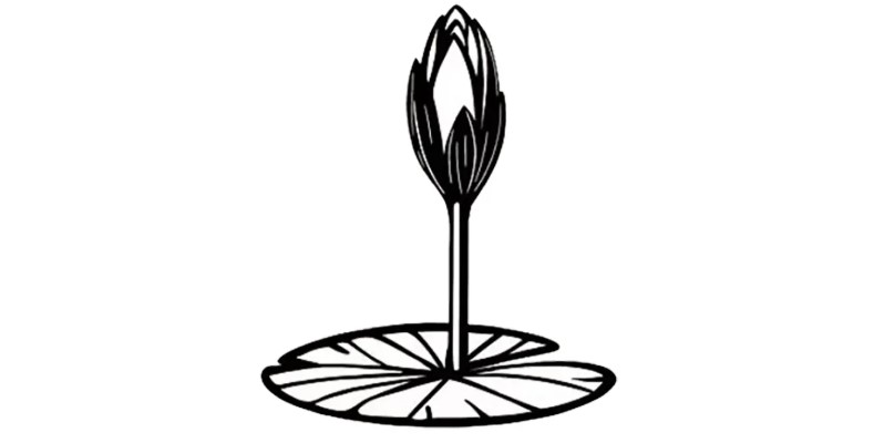 ঢাকার ৬টি ভিআইপি আসনে এনসিপির শীর্ষ নেতাদের লড়াই