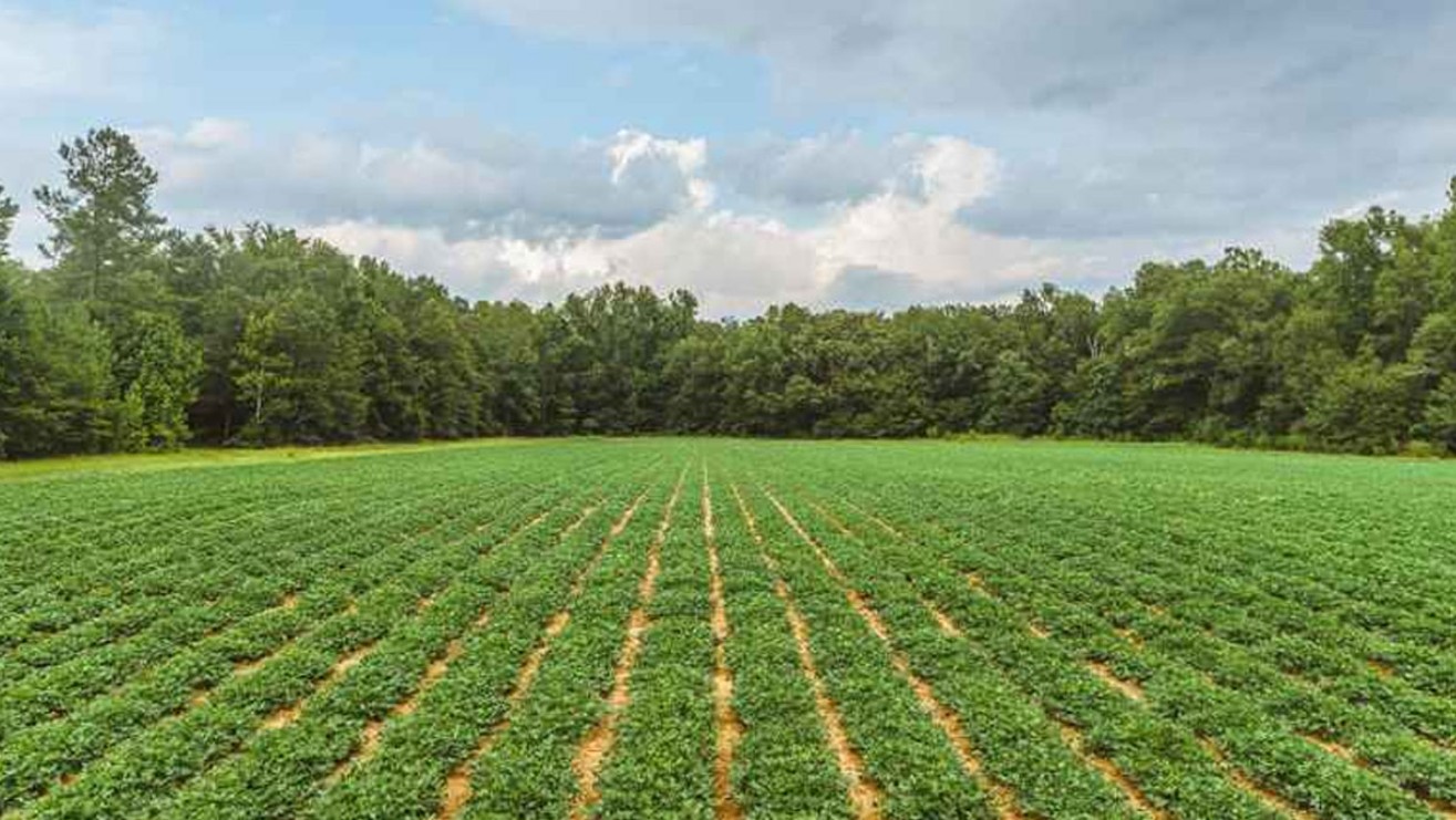 জমির পর্চা দেখুন ঘরে বসে, জানুন সম্পূর্ণ নিয়ম