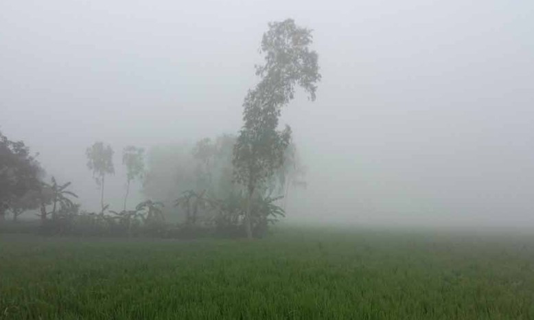 তীব্র শীতে কাঁপছে দেশের সর্ব উত্তরের জেলা, হাসপাতালে রোগীর ভিড়