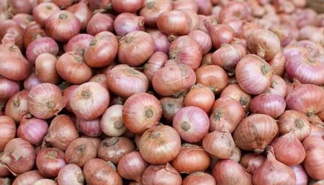সিন্ডিকেটের কারসাজি ভাঙতে রোববার থেকে আবারও ভারত থেকে পেঁয়াজ আসার সুযোগ
