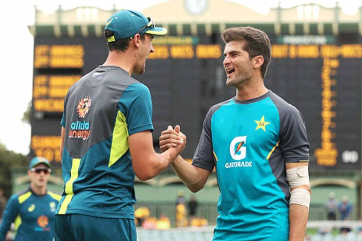 স্টার্কের রেকর্ডে অনুপ্রেরণা পেলেন শাহীন আফ্রিদি