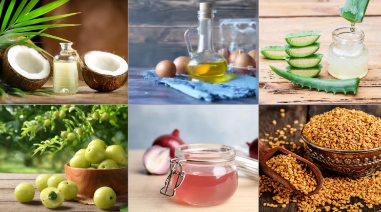 চুল পড়া বন্ধের ৬টি সহজ ও কার্যকরী ঘরোয়া উপায়