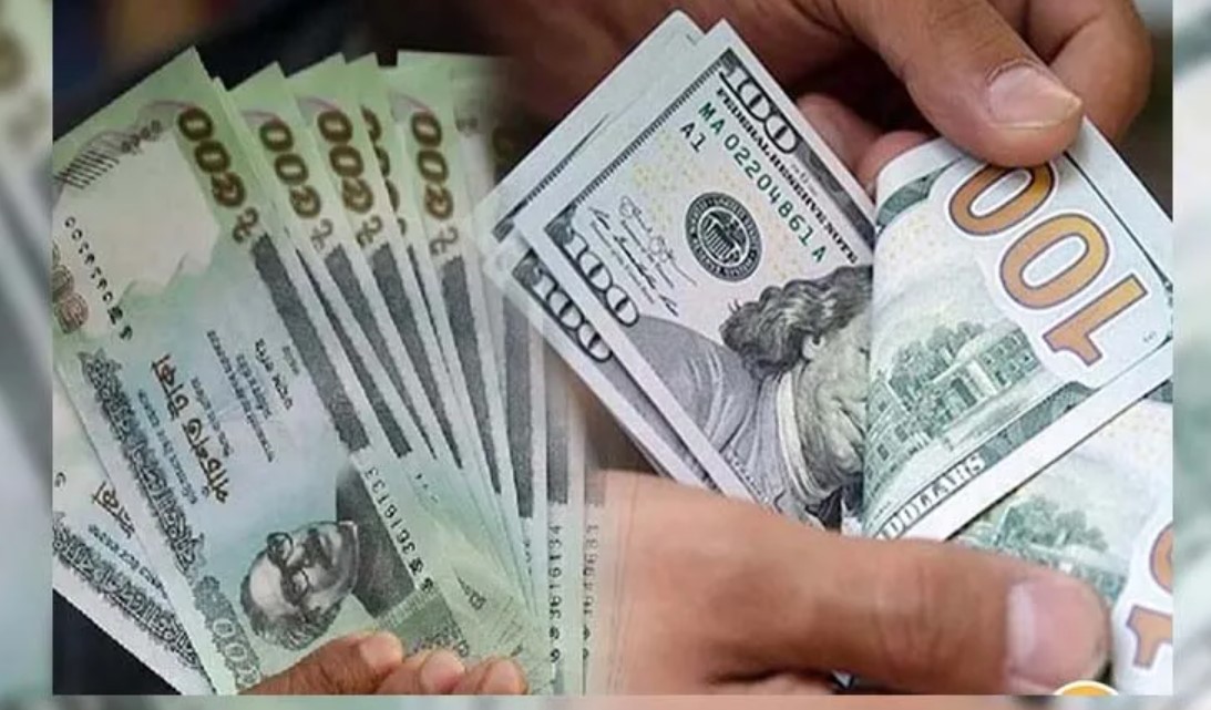 ডলারের দামে ফের পরিবর্তন: জেনে নিন আজকের সর্বশেষ টাকার রেট