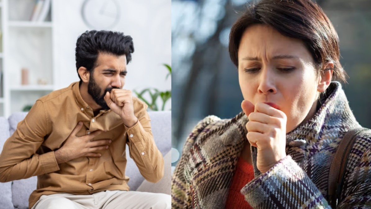 শীতের বুকে জমা কফ দূর করবে তুলসী চা: জানুন জাদুকরী গুণ