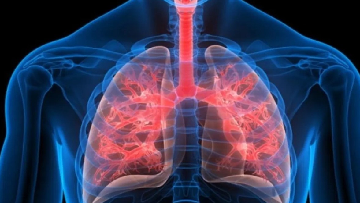 ১ মিনিটের ঘরোয়া পরীক্ষায় ধরুন ফুসফুসের রোগ: আজই চেষ্টা করুন
