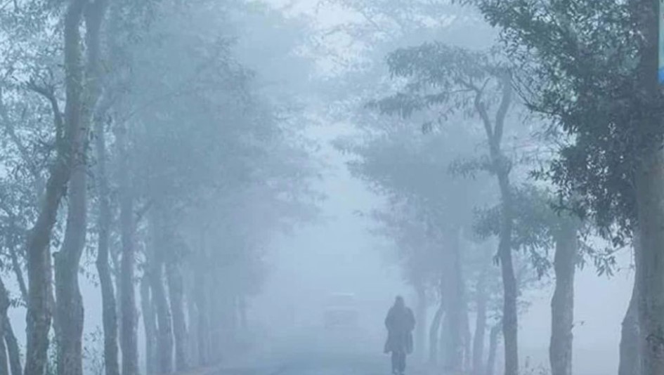 হাড়কাঁপানো শীত ও ঘন কুয়াশা থেকে মুক্তি কবে? যা জানাল আবহাওয়া অফিস