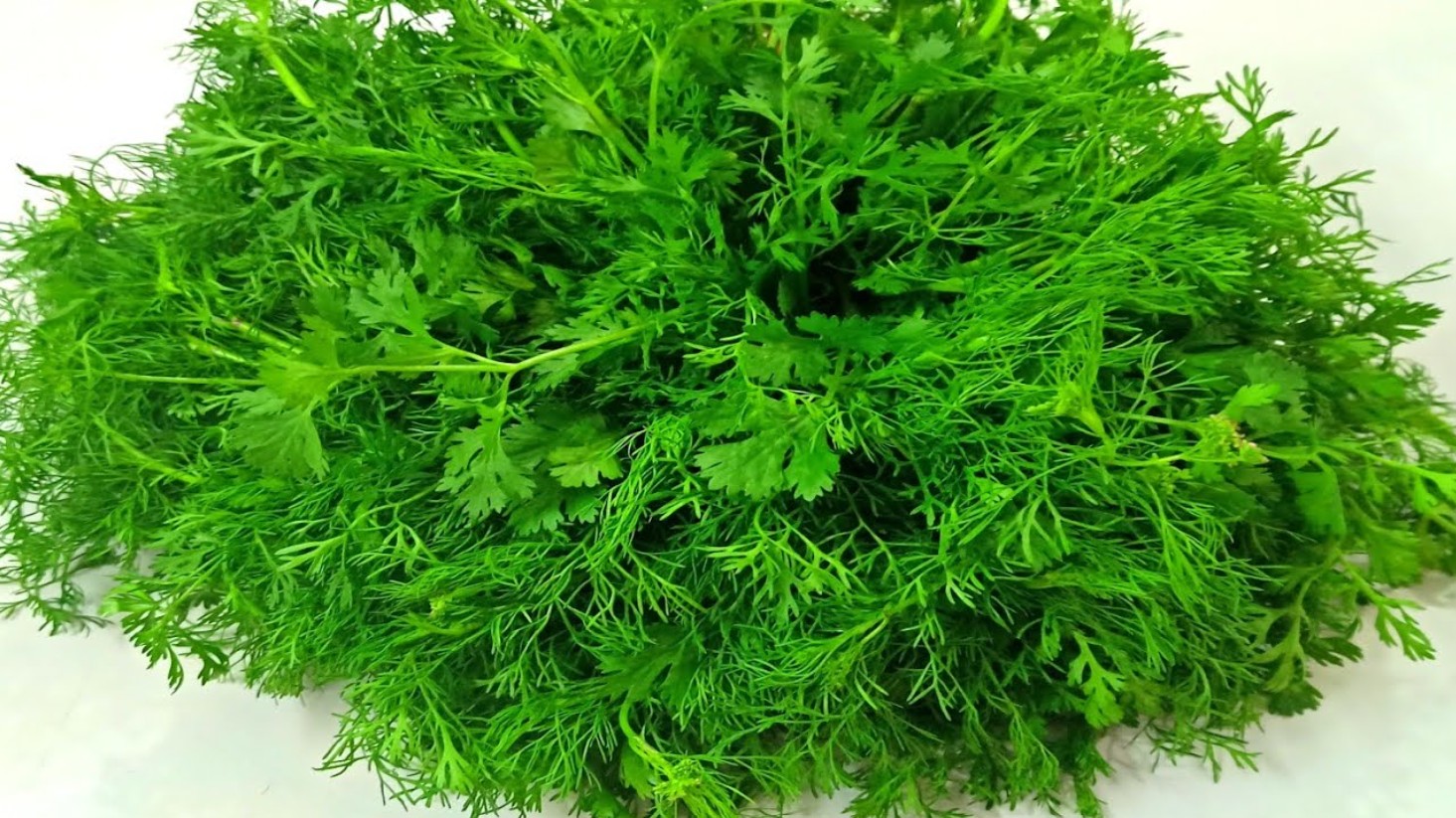 সহজ রেসিপিতে ঘরেই বানান ধনে পাতার আচার