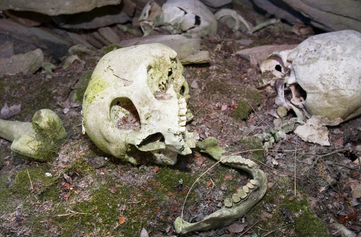 মৃত্যুর পর মানবদেহে কী ঘটে, জানাচ্ছে বিজ্ঞান