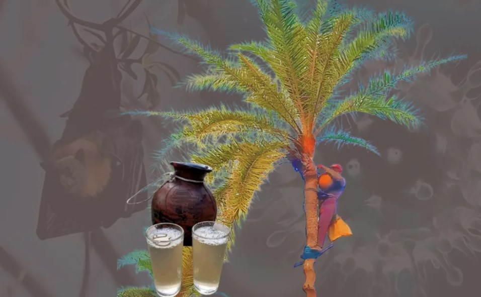 ছড়িয়ে পড়েছে নিপাহ ভাইরাস: মৃত্যুর হার ১০০ শতাংশে পৌঁছানোয় রেড অ্যালার্ট