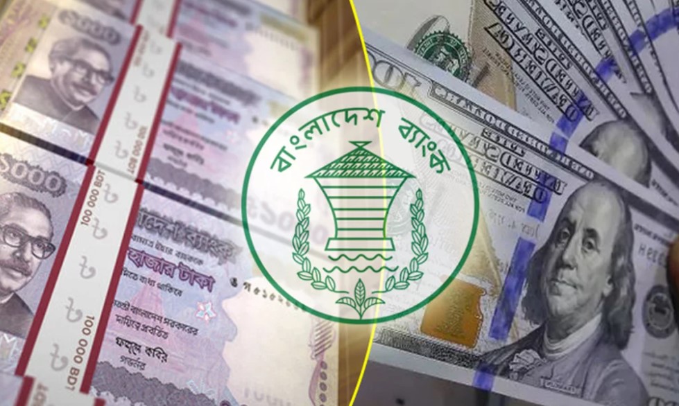 ডিসেম্বরের পর জানুয়ারিতেও বড় চমক! ৭ দিনেই রেমিট্যান্সের নতুন ইতিহাস