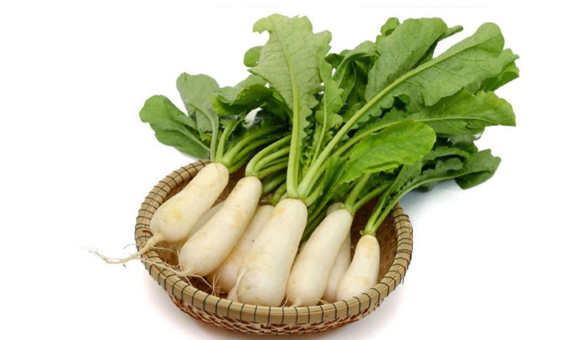 অবহেলিত মুলার আকাশচুম্বী গুণ: শীতকালীন খাদ্যতালিকায় কেন এটি অপরিহার্য?