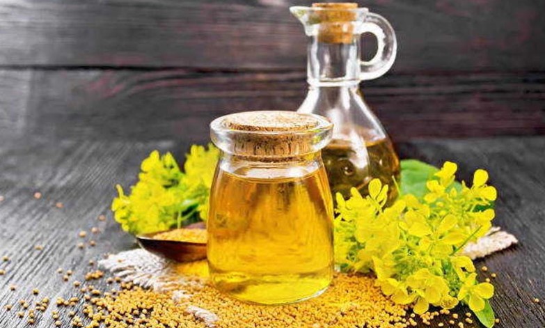 খাঁটি না কি বিষ? সরিষার তেলের বিশুদ্ধতা যাচাইয়ের ৫টি বৈজ্ঞানিক পদ্ধতি