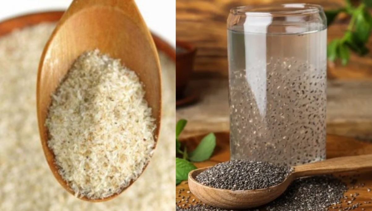 ইসবগুল না কি চিয়া সিড? ফাইবারের ঘাটতি মেটাতে কোনটি বেশি কার্যকর?