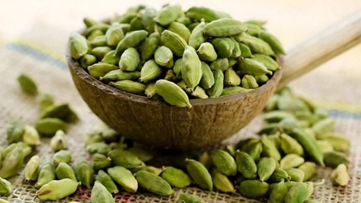 সবুজ এলাচের জাদুকরী শক্তি: প্রতিদিন একটি দানা কেন আপনার পরম বন্ধু?