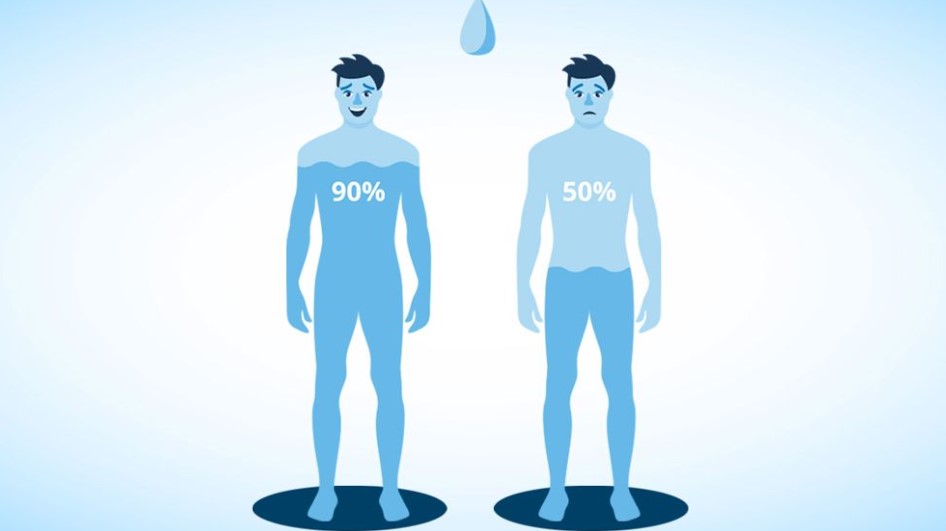 রোজায় পানিশূন্যতা বিদায় হবে নিমিষেই: সুস্থ থাকতে মেনে চলুন এই জাদুকরী নিয়ম