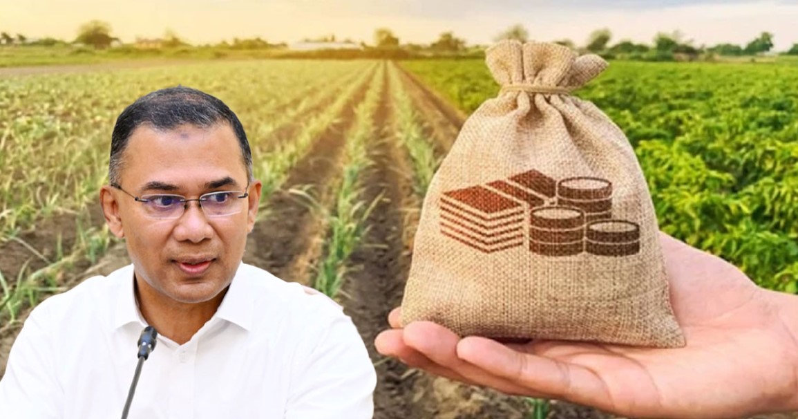 কথা রাখলেন তারেক রহমান: ১২ লাখ কৃষকের ঋণের বোঝা শেষ!