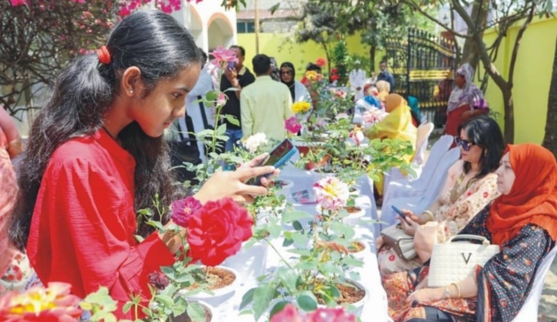 কুমিল্লায় ব্যাতিক্রমী গোলাপ প্রদর্শনী: মোস্তফা কামাল ফুলু ফাউন্ডেশনের