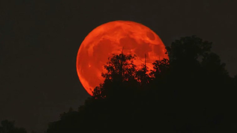 চাঁদ হবে লালচে তামাটে: বিরল মহাজাগতিক দৃশ্যের সাক্ষী হতে প্রস্তুত বাংলাদেশ