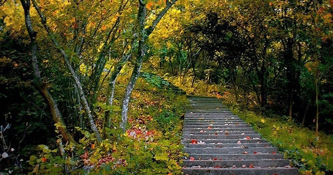 সীতাকুণ্ড ইকোপার্কের পাহাড়ে শিশুকে গলা কেটে হত্যার রহস্য উন্মোচন