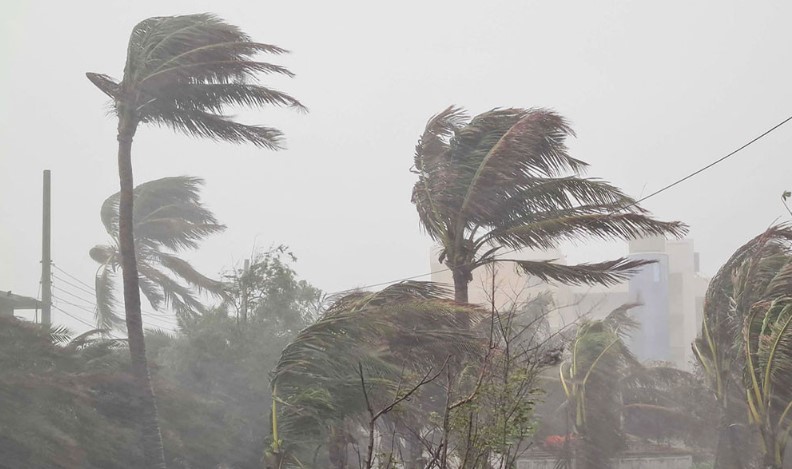 ৮০ কিমি বেগে ঝড়ের পূর্বাভাস; ৪ জেলায় কালবৈশাখীর বড় সতর্কবার্তা