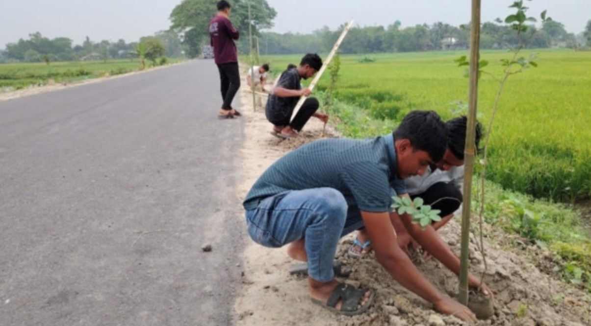 সড়কে তরুণদের সবুজ উদ্যোগ মুরাদনগরে সড়কের দুই পাশে ২০০ বৃক্ষ রোপণ