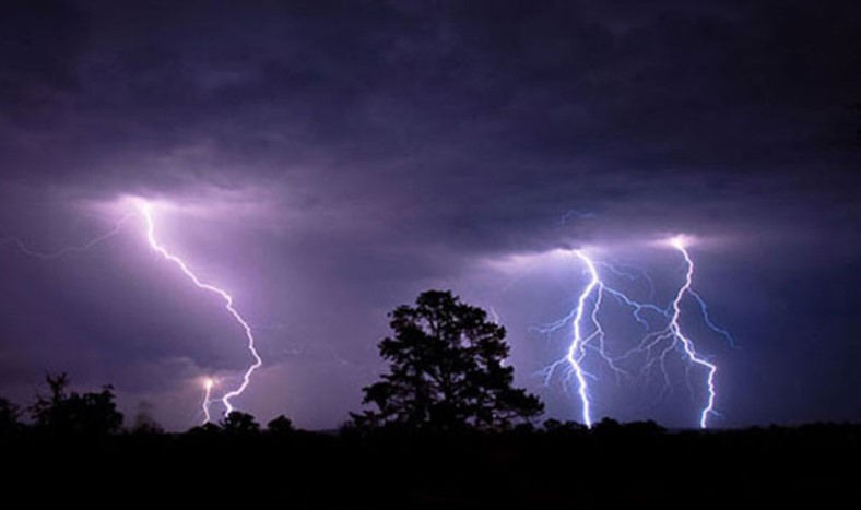 প্রকৃতির তাণ্ডব! ধান কাটার ভরা মৌসুমে ৫ জেলায় শোকের মাতম