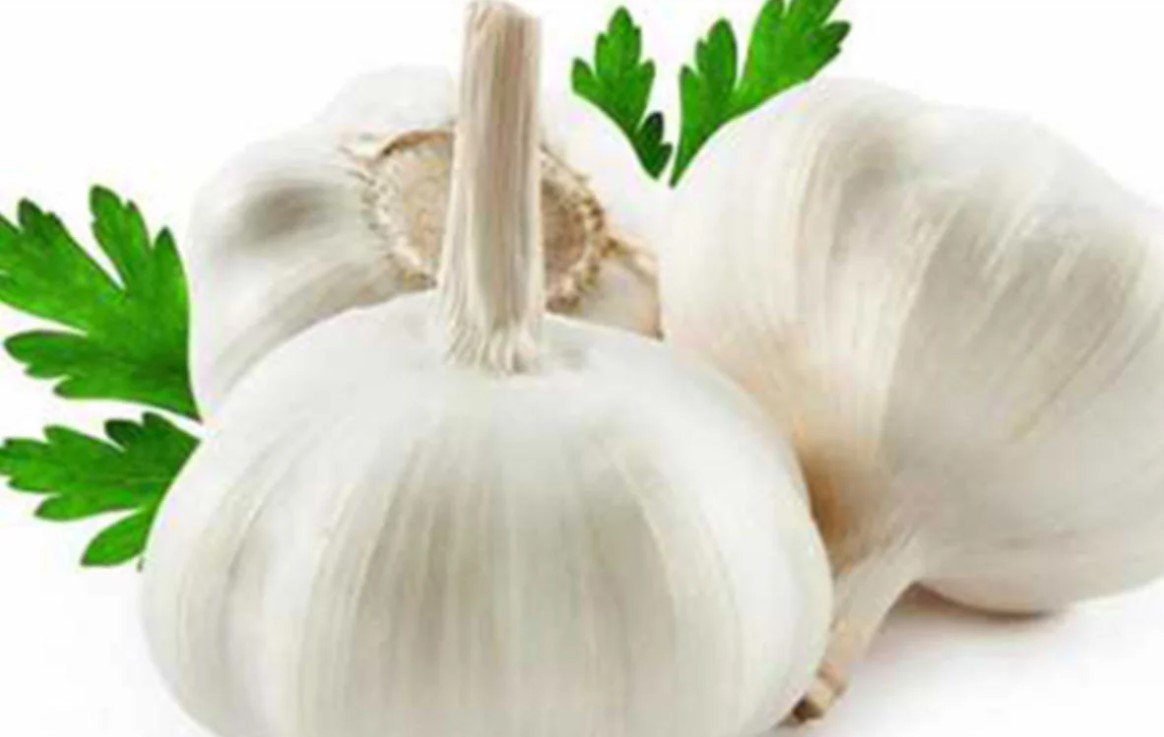 খালি পেটে এক কোয়া রসুন: মহৌষধ নাকি কুসংস্কার? জেনে নিন আসল সত্য