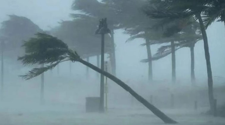 দুপুর ১টার মধ্যেই ঢাকাসহ ১৩ জেলায় ঝড়ের তান্ডব! ১ নম্বর সতর্কসংকেত জারি
